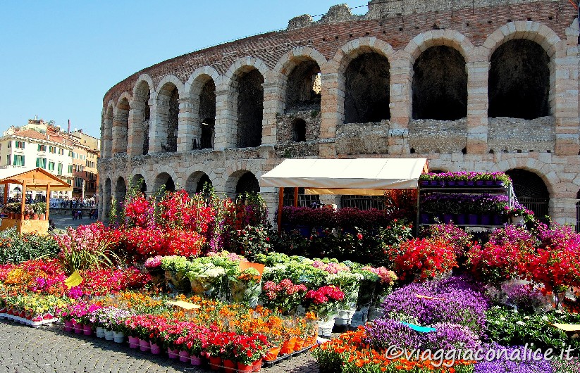 un giardino fiorito profuma l'arena di verona per l'evento Verona mio fiore