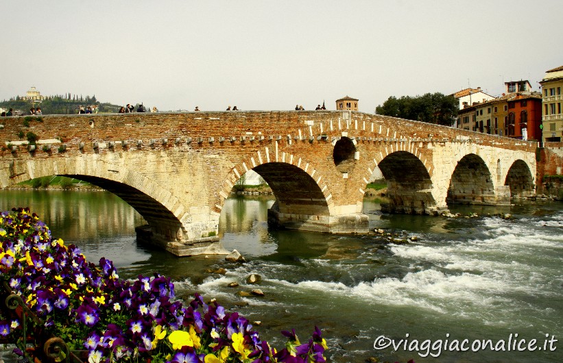il magnifico ponte pietra sul fiume adige a verona