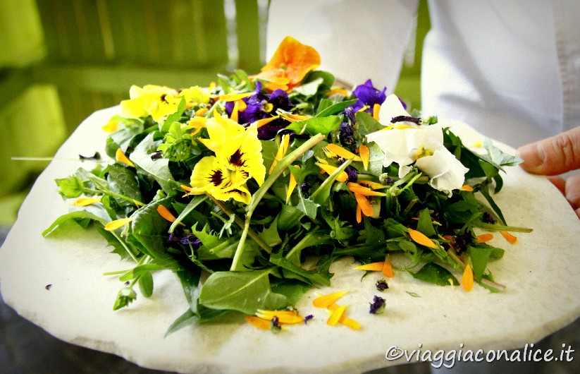 un'insalata mista a base di erbe officinali raccolte sul monte baldo