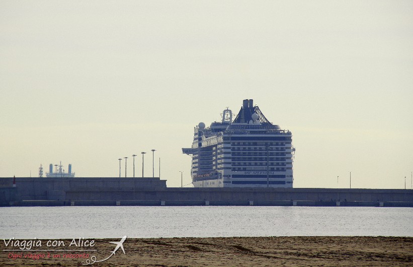 Msc Splendida