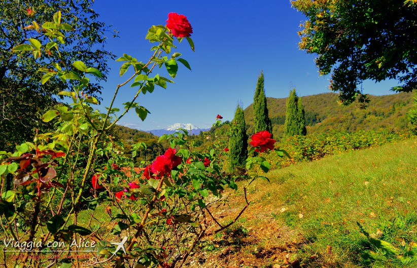 roseto di Vararo