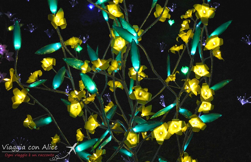 Viaggia Con Alice Lucine Leggiuno Di Natale fiori