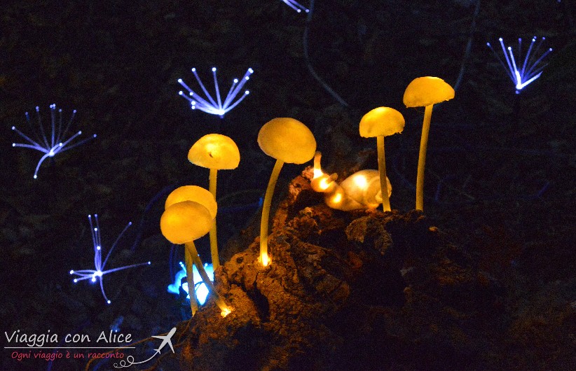 Viaggia Con Alice Lucine Leggiuno Di Natale funghi