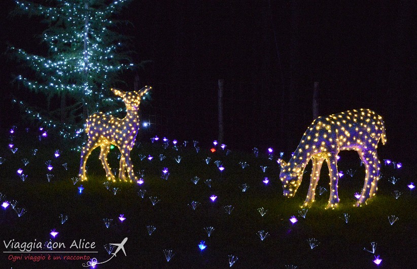 Viaggia Con Alice Lucine Leggiuno Di Natale cerbiatti