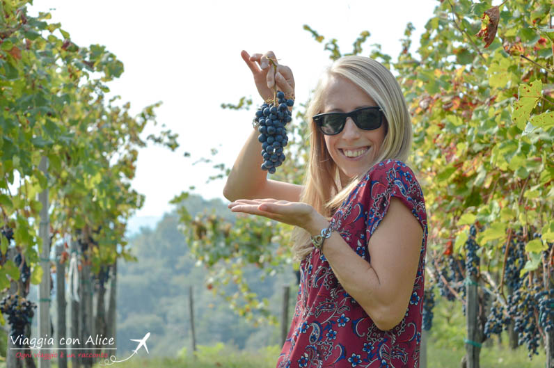 festa dell'uva angera