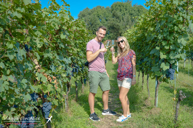 degustazione vino cascina piano angera