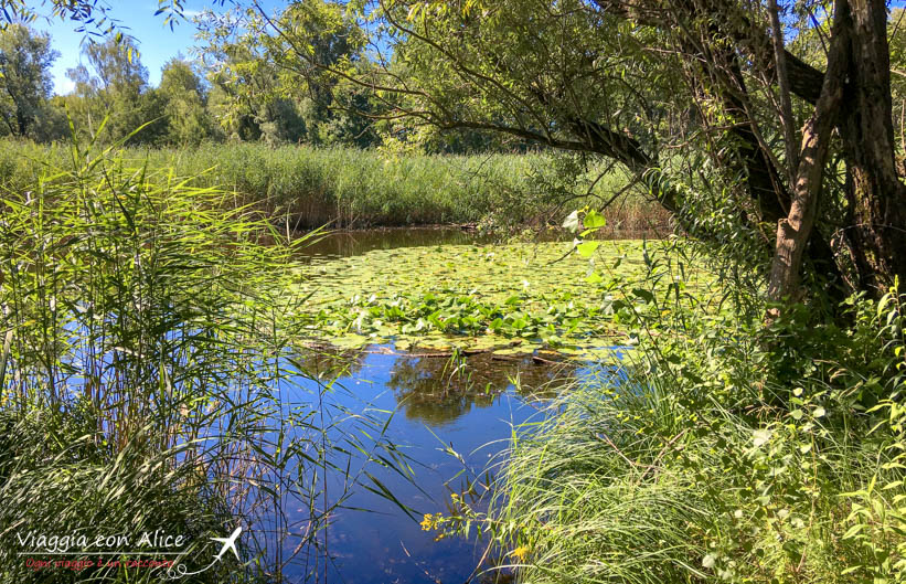 oasi bruschera angera
