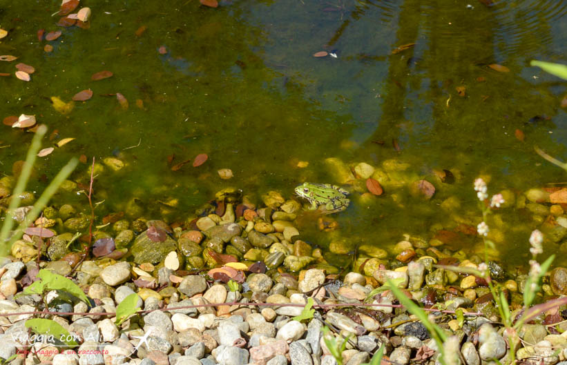 Museo Diffuso Angera Viaggia Con Alice