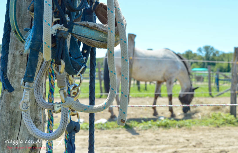 Museo Diffuso Angera Viaggia Con Alice