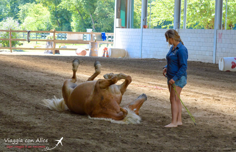 Museo Diffuso Angera Viaggia Con Alice