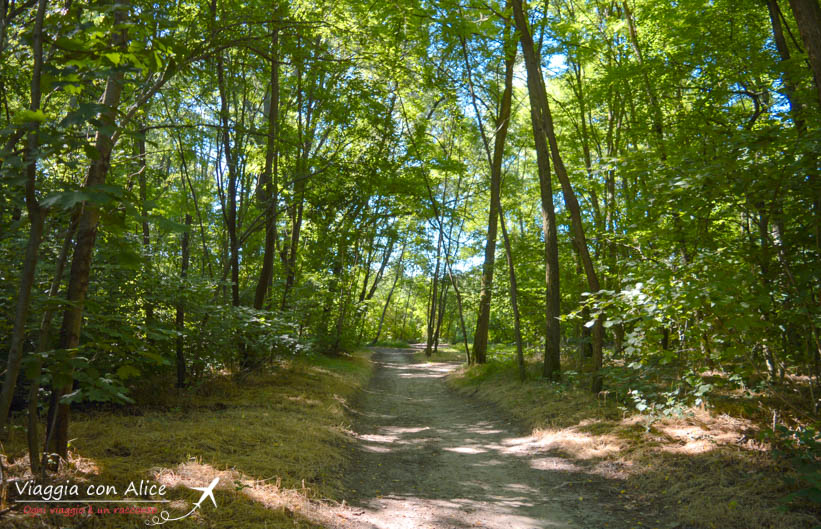 Museo Diffuso Angera Viaggia Con Alice