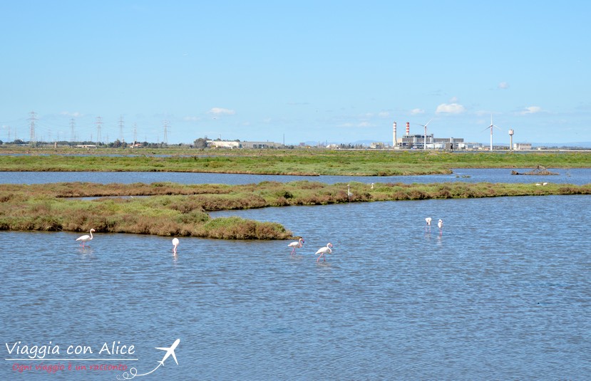 laguna di santa gilla