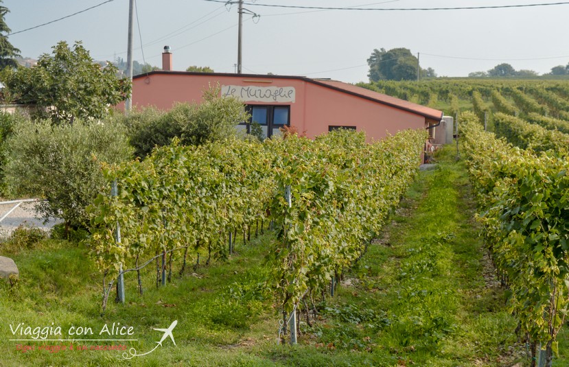 azienda agricola le muraglie