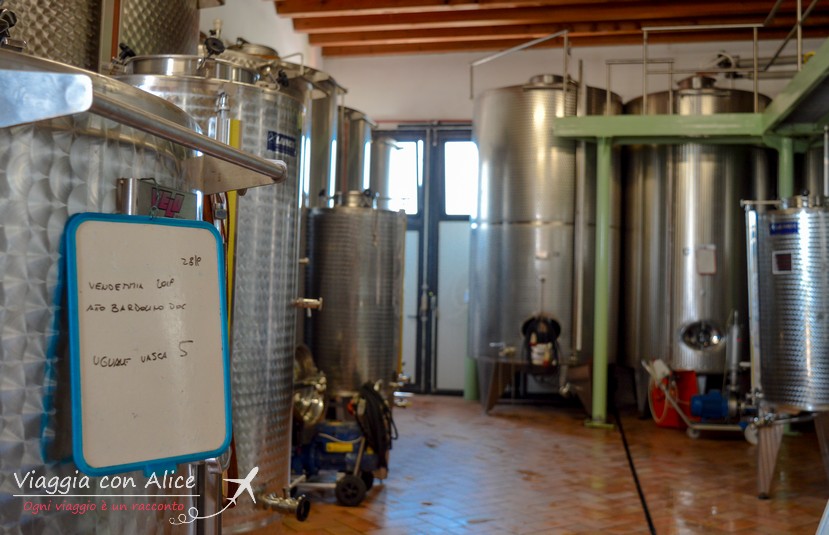 visita cantina vinicola