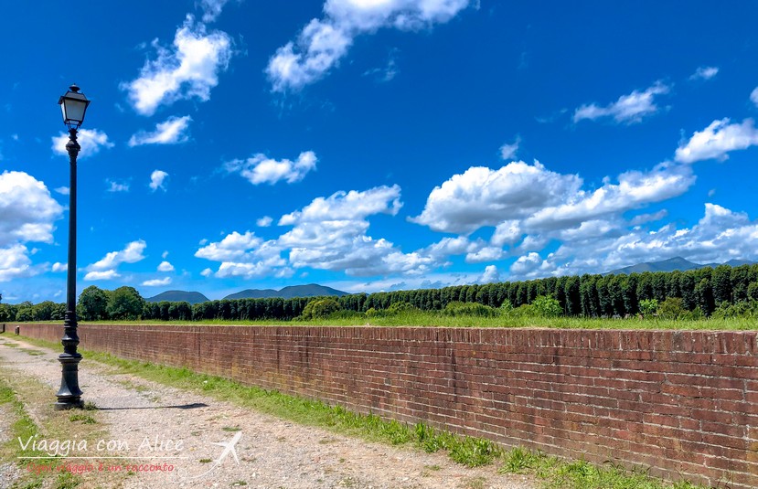 lucca mura