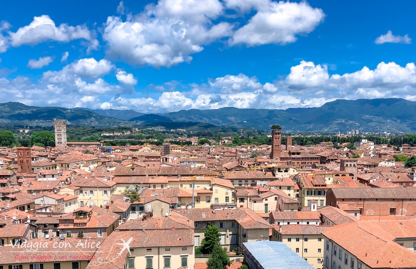 lucca
