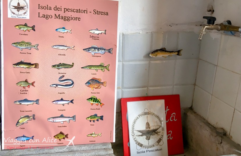 albergo belvedere isola pescatori