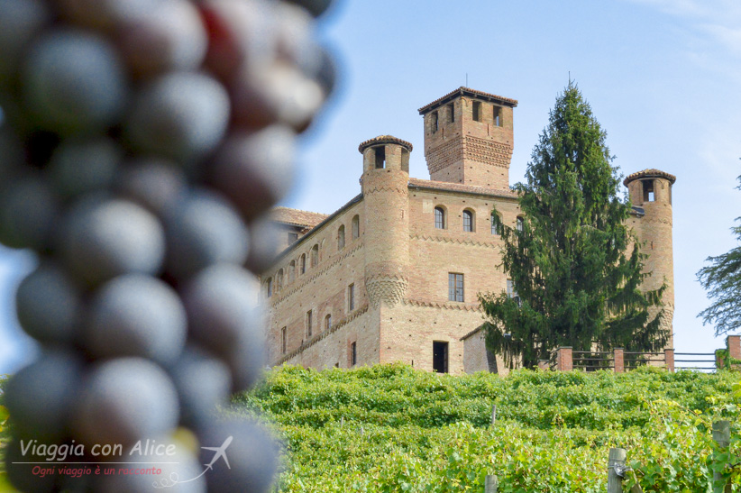 cosa vedere nelle langhe