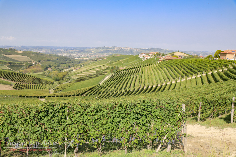 cosa vedere nelle langhe