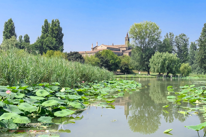 fiume Mincio Mantova