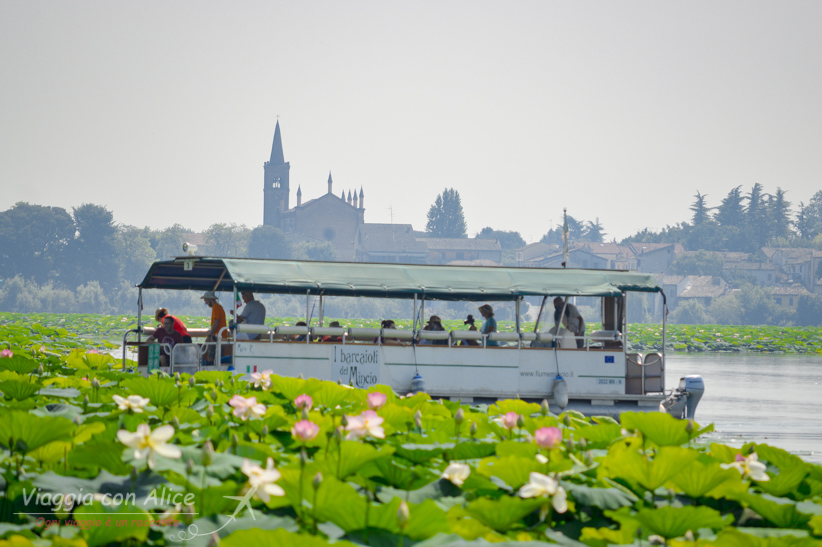 cosa vedere a mantova