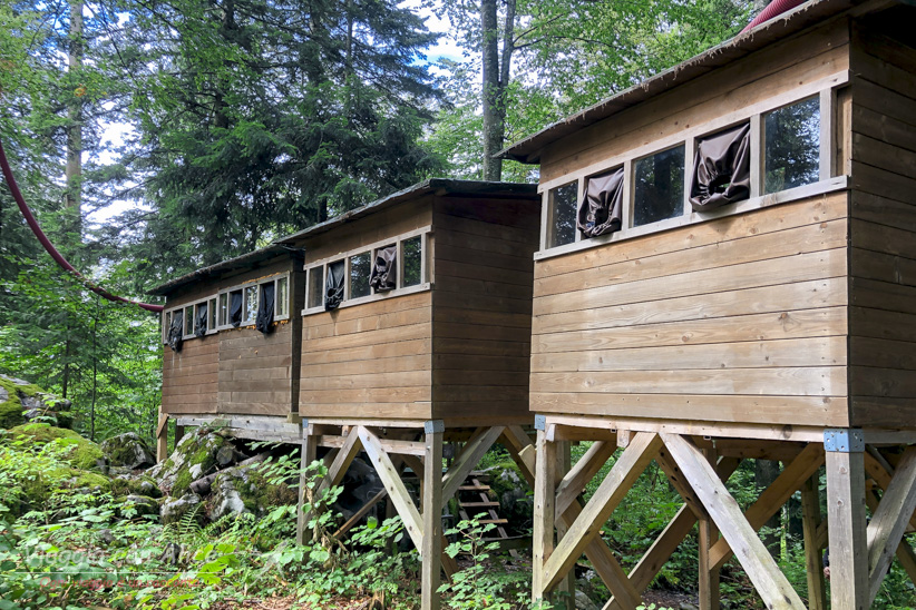 slovenian bears