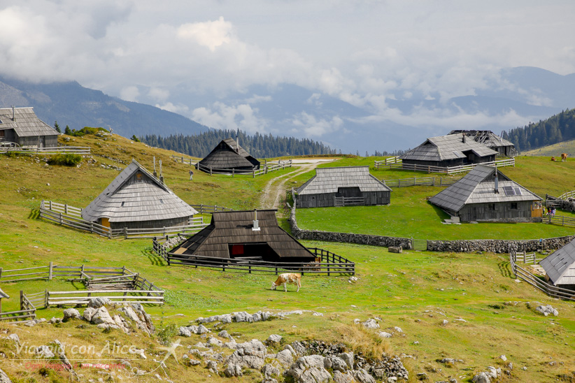 velika planina