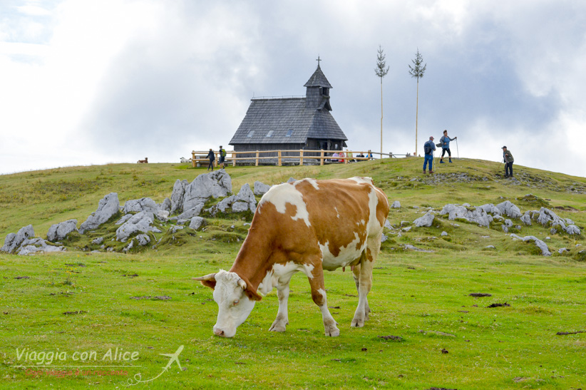velika planina