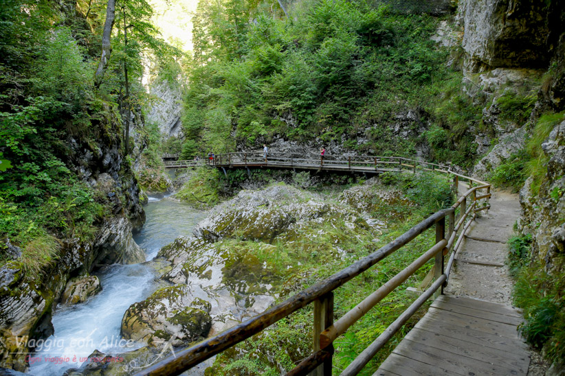 Gole di vintgar