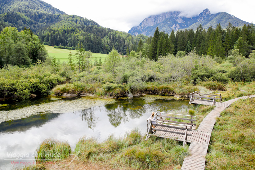 Zelenci natural reserve