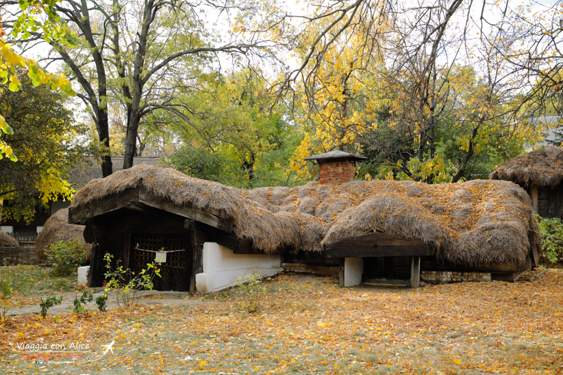 muzeul satului dimitrie gusti