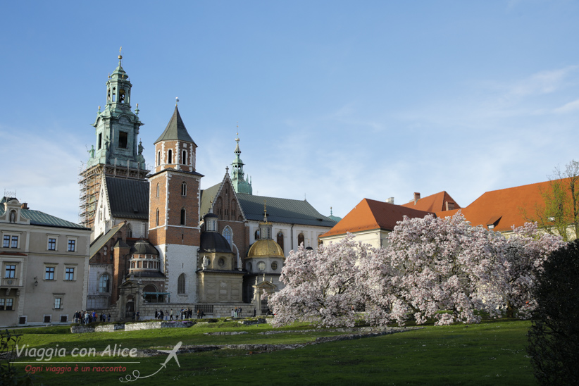 cattedrale del wawel cracovia