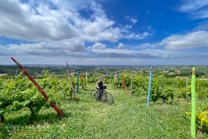 vigna dei pastelli