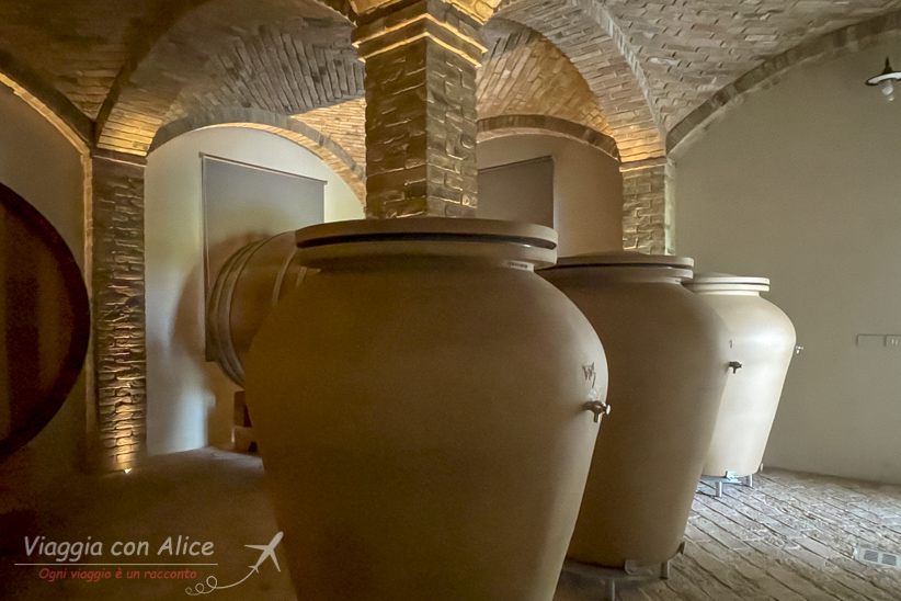 degustazione vini