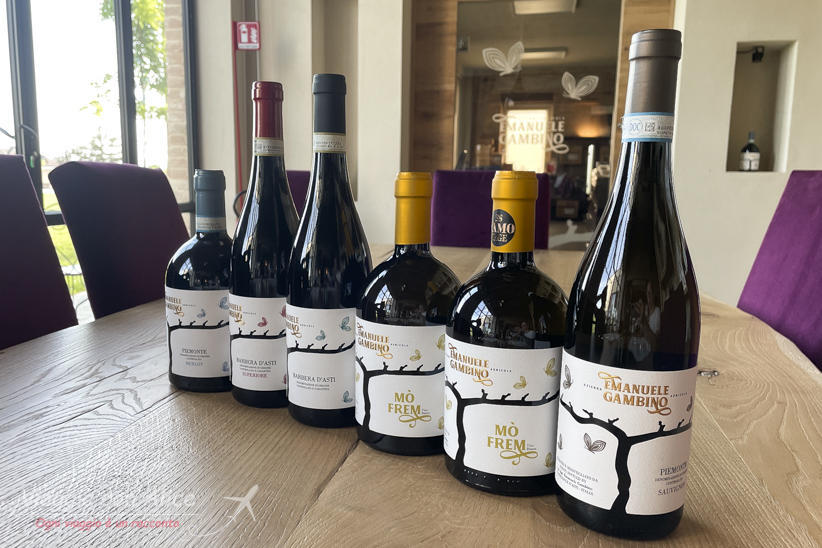 degustazione vini