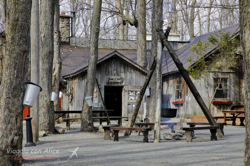 Come organizzare un viaggio in Canada
