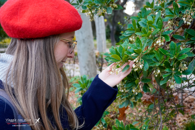 Parque del Buen Retiro Madrid