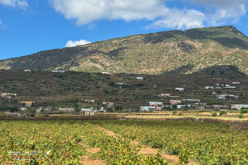 cosa vedere a pantelleria