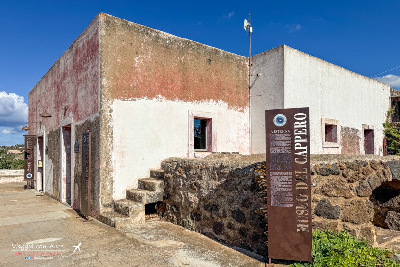 cappero di pantelleria
