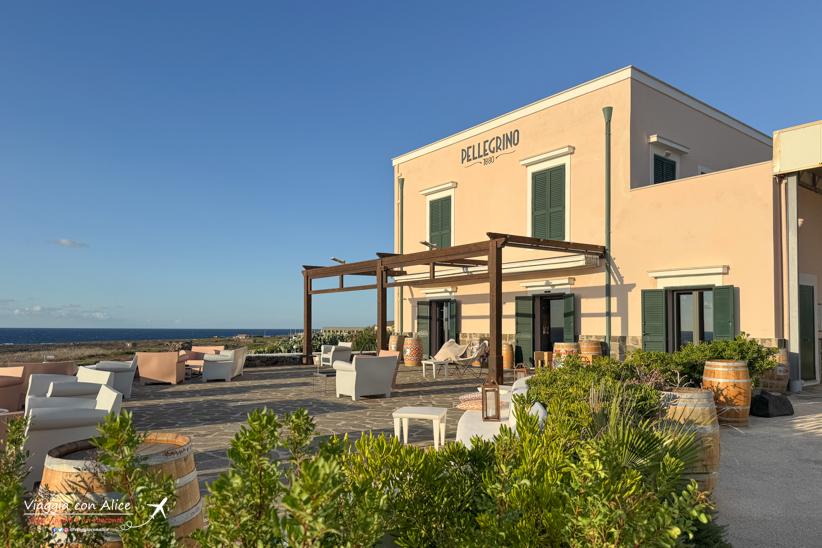 cantina pellegrino pantelleria